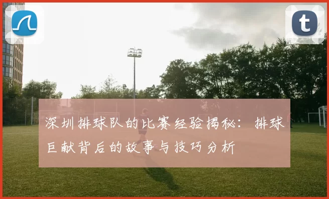 深圳排球队的比赛经验揭秘：排球巨献背后的故事与技巧分析