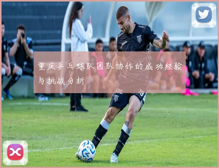 重庆乒乓球队团队协作的成功经验与挑战分析