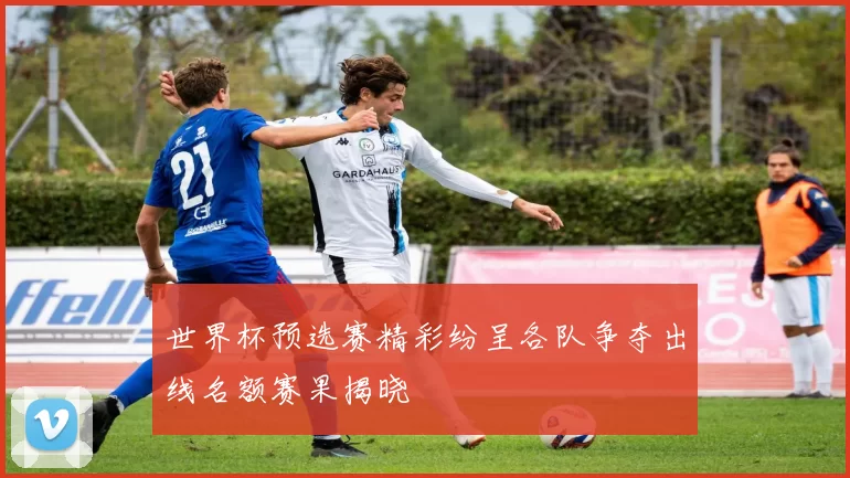 世界杯预选赛精彩纷呈各队争夺出线名额赛果揭晓