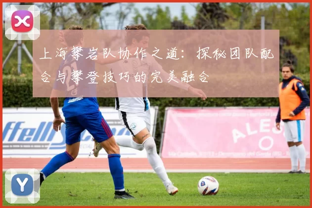 上海攀岩队协作之道：探秘团队配合与攀登技巧的完美融合