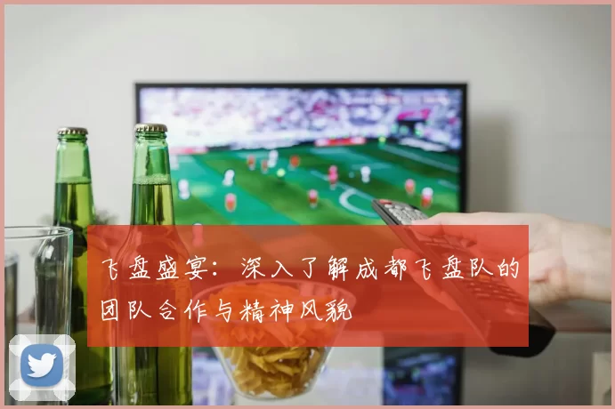 飞盘盛宴：深入了解成都飞盘队的团队合作与精神风貌