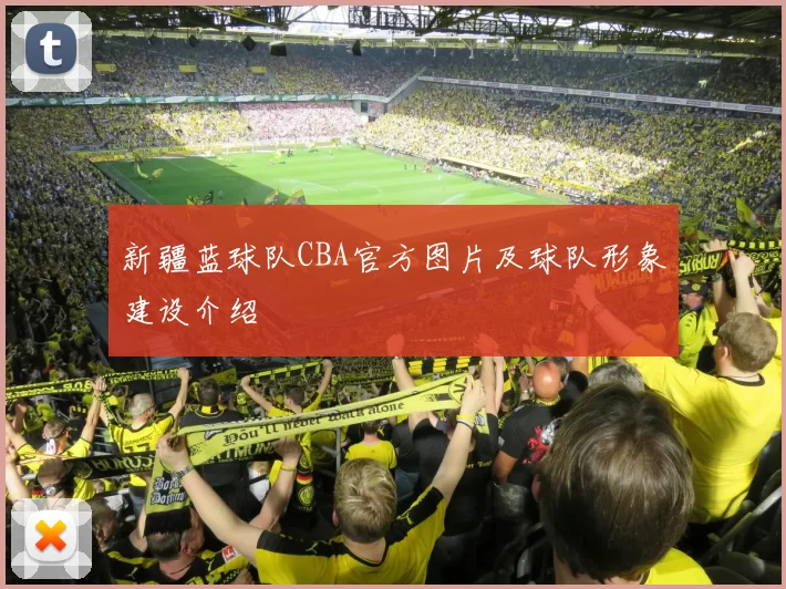 新疆蓝球队CBA官方图片及球队形象建设介绍