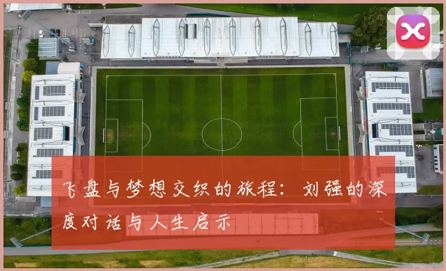 飞盘与梦想交织的旅程：刘强的深度对话与人生启示
