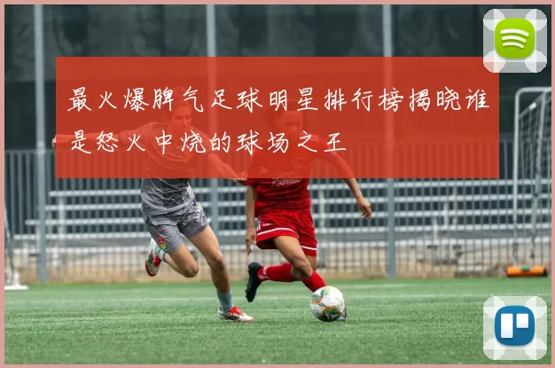 最火爆脾气足球明星排行榜揭晓谁是怒火中烧的球场之王