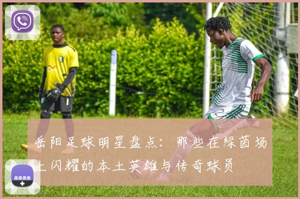 岳阳足球明星盘点：那些在绿茵场上闪耀的本土英雄与传奇球员