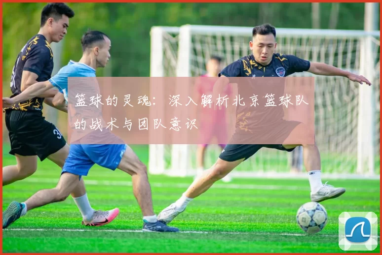篮球的灵魂：深入解析北京篮球队的战术与团队意识