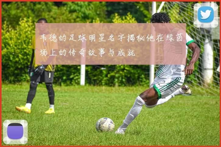 韦德的足球明星名字揭秘他在绿茵场上的传奇故事与成就