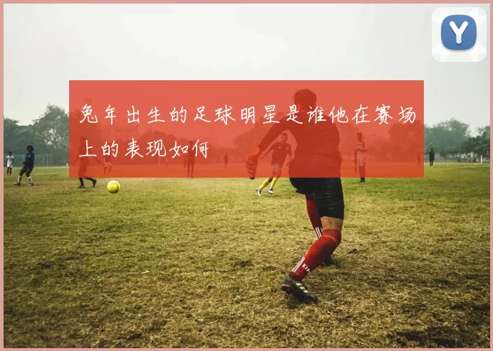 兔年出生的足球明星是谁他在赛场上的表现如何