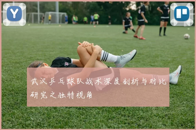 武汉乒乓球队战术深度剖析与对比研究之独特视角