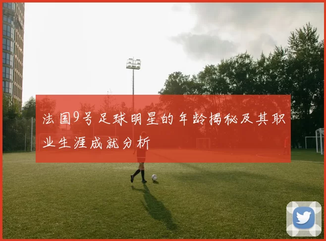 法国9号足球明星的年龄揭秘及其职业生涯成就分析