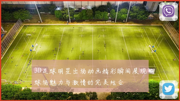 3D足球明星出场动画精彩瞬间展现球场魅力与激情的完美结合