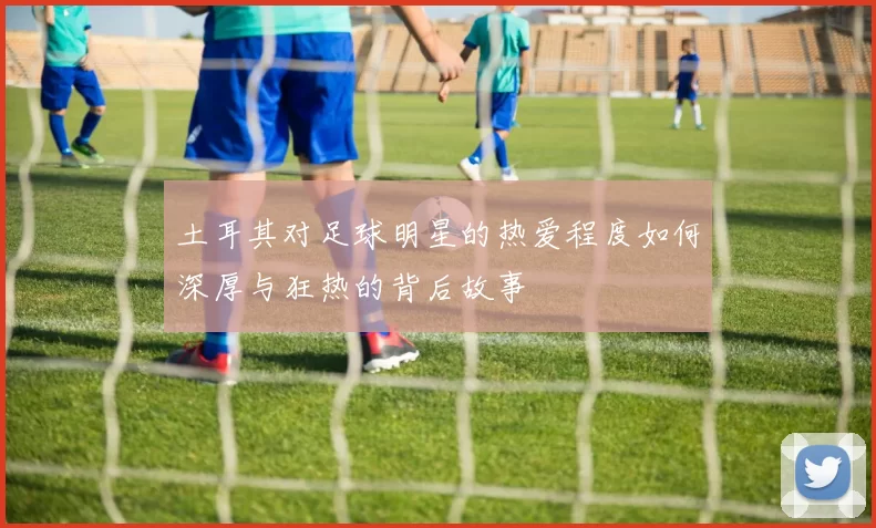 土耳其对足球明星的热爱程度如何深厚与狂热的背后故事