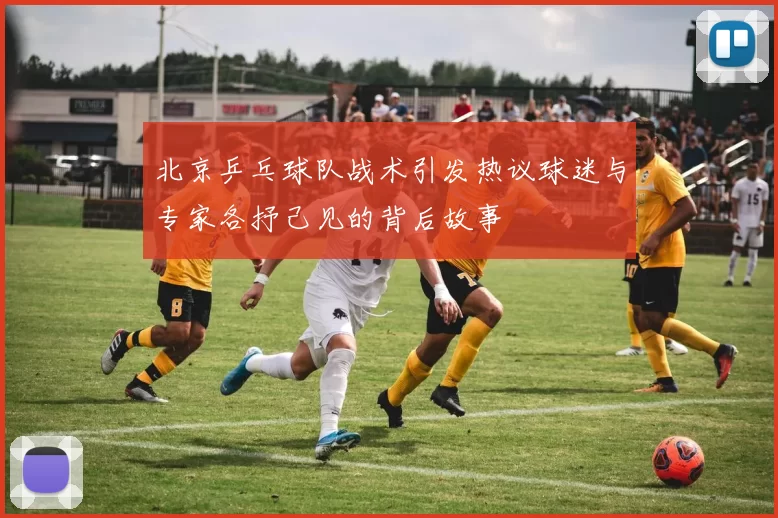 北京乒乓球队战术引发热议球迷与专家各抒己见的背后故事