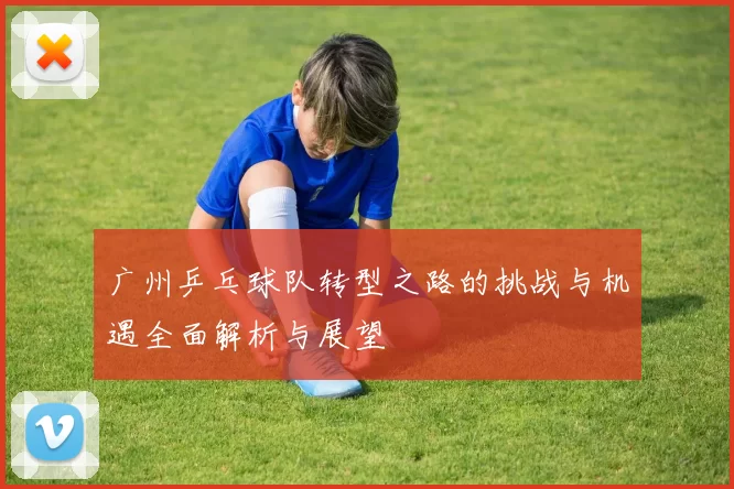 广州乒乓球队转型之路的挑战与机遇全面解析与展望