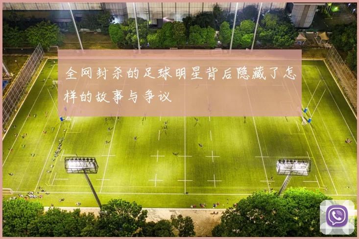 全网封杀的足球明星背后隐藏了怎样的故事与争议